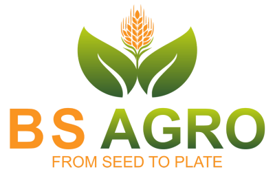 B S Agro And Machinery